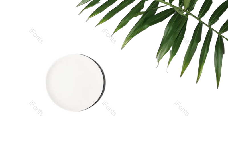 叶子图片,清新元素,竹子PNG,白色免抠素材